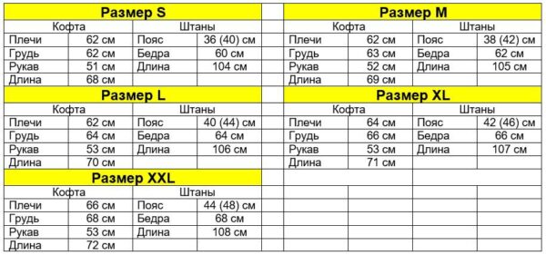 Мужской Утепленный Серый Спортивный Костюм Кофта и Штаны на Флисе с Лампасами и Надписью на Спине “Champion Boys”