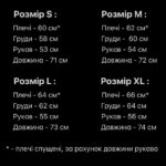 Мужская Графитовая Кофта Толстовка “FINE” под Горло на Замке - Утепленная на Флисе