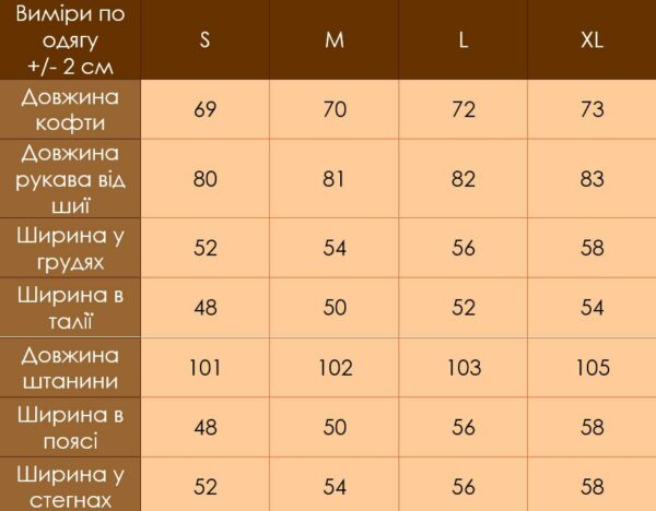 Мужской Утепленный Черный Спортивный Костюм на Флисе - Кофта на Прорезиненной Змейке + Штаны на Манжетах